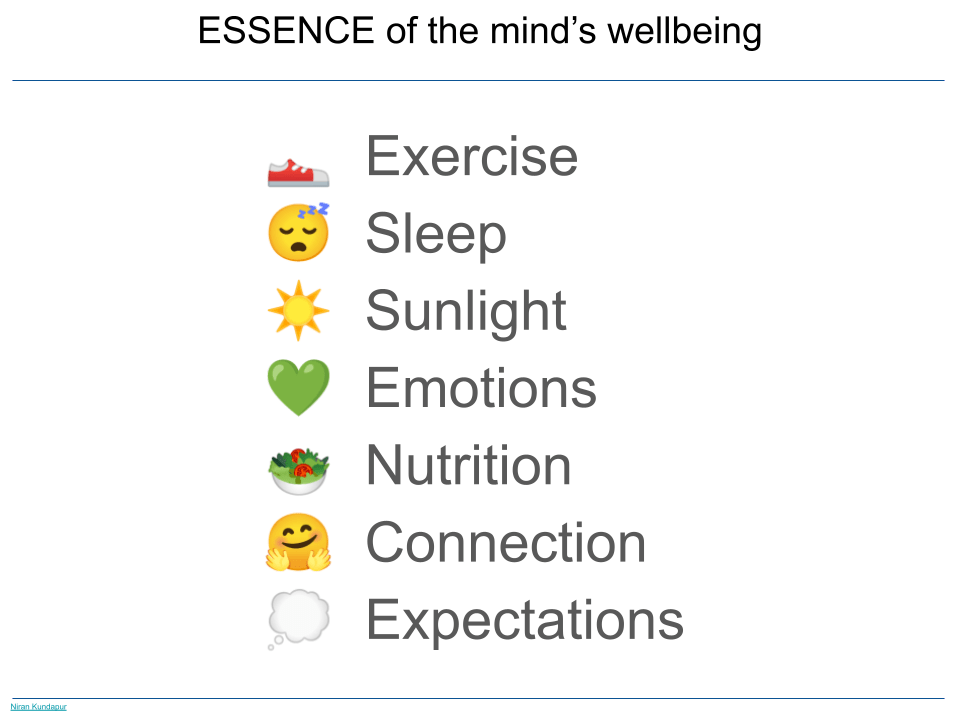 ESSENCE of the mind's wellbeing is Exercise, Sleep, Sunlight, Emotions, Nutrition, Connection, and Expectations
